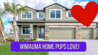 Wimauma New Homes | Dog Friendly Tampa