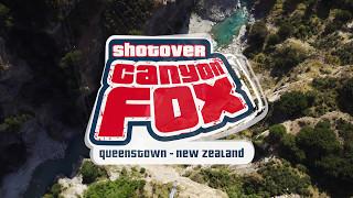 Shotover Canyon Fox