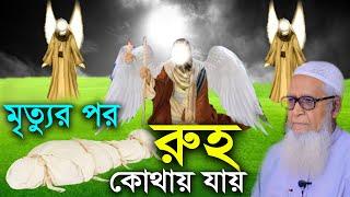 মৃত্যুর পর রুহ কোথায় যায় | আল্লামা লুৎফর রহমান | Allama Lutfur Rahman | New Waz Mahfil