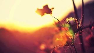 Jon Hopkins - Campfire