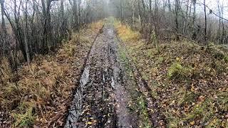 Аномальные истории на тропе  Сестрорецкое болото
