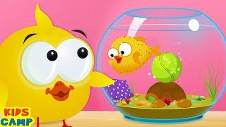 Fish Pot Fun Game With Lucky Ducky   | Funny Videos For Kids By KidsCamp