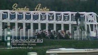 Spectacular Bid wins the 1980 Malibu Stakes