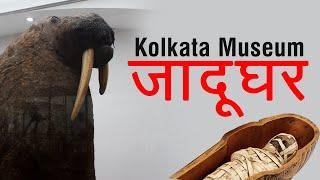 Indian Museum Kolkata | Jadughar | kolkata Indian museum full tour | best places to visit in kolkata