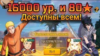 Ninja History | Обновление: 80 звезда и 16000 уровень | Обзор последних новых персонажей