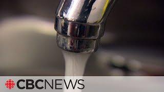 Montreal is phasing out water fluoridation. What's the risk?