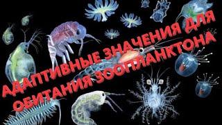 АДАПТИВНЫЕ ЗНАЧЕНИЯ ДЛЯ ОБИТАНИЯ В ВОДЕ ЗООПЛАНКТОНА - ЕГЭ БИОЛОГИЯ