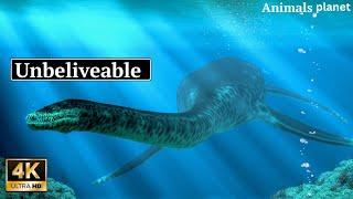 Unbelievable River Monster | A Jaw-Dropping Discovery | Animals planet 101