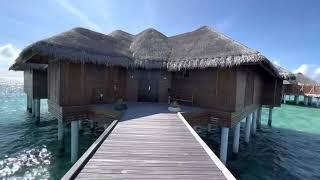 Huvafen Fushi Maldives | Two Bedroom Ocean Pavilion with pool | 340 sq m | room tour.