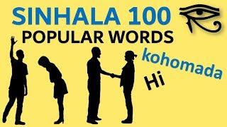 Sinhala 100 important sentences - Popular Phrases - Quick Lesson