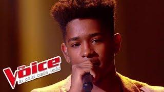 Lisandro Cuxi - « L'Envie d'aimer » (Les 10 Commandements) | The Voice 2017 | Live