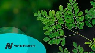 The Benefits of Moringa: Is It the Most Nutritious Food?