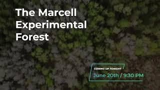 Tonight at 9:30 - The Marcell Experimental Forest