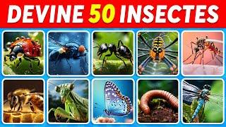 Devine 50 INSECTES en 3 secondes | FACILE à IMPOSSIBLE