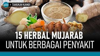 Daftar Herbal yang Paling Berkhasiat Bagi Kesehatan | Hidup Sehat tvOne