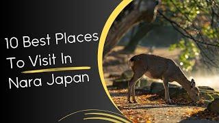 10 Best Places To Visit In Nara Japan