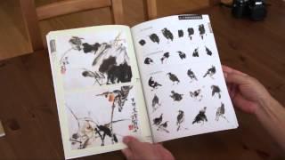 The Birds Book a practical painting manual for sumi or CBP artist