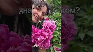 Вы знали, что цветы можно ставить в плоскую вазу благодаря кензану? #дом #ремонт #интерьер #дизайн