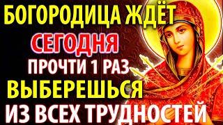 16 июня НЕ ПРОПУСТИ! БОГОРОДИЦА поможет прямо сейчас! Молитва Умягчение злых сердец Православие