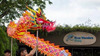 Discover the Hidden Beauty of the Dragon Dance at Mandai Wildlife Reserve, River Wonders