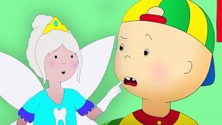 The Tooth Fairy | Caillou Cartoon