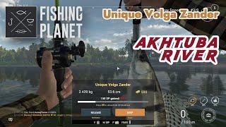 Unique Volga Zander Akhtuba River - Fishing Planet