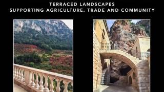 Terraced landscapes of the Qadisha Valley