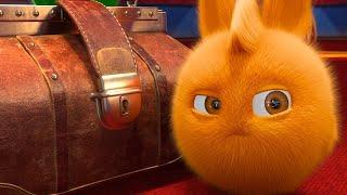 Sunny Bunnies | Turbo and the Suitcase | SUNNY BUNNIES COMPILATION | Cartoons for Children