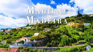 Madeira, Portugal: A Hidden Gem You Need on Your Bucket List