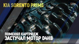 Поменял картридж застучал мотор Kia Sorento Prime