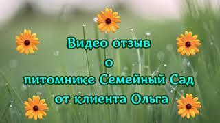 Видео отзыв от Ольги приобретенных саженцев в Семейный Сад