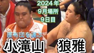 狼雅の座布団を運ぶ小滝山 狼雅は礼儀正しく入場【大相撲令和6年9月場所】9日目 2024/9/16 Futagoyama  [SEP basho 2024 DAY9]