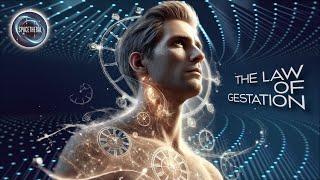 The Law of Gestation