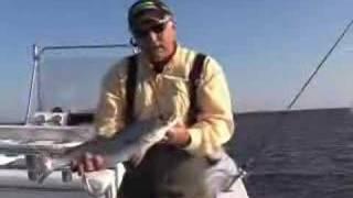 Coastal Georgia Redfish on light tackle plus Tips and Techniques