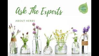 Ask the Experts about Herbs, brought to you by National Garden Bureau