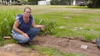 Different Ways of Bermudagrass Eradication Research on the Best of Oklahoma Gardening (#4728)