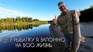 СУМАСШЕДШАЯ РЫБАЛКА #рыбалка #щука #спининг #fishing #pike #pikefishing #perch