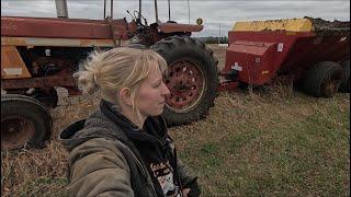 Spreading manure with one of America’s favorite tractors..IH1066!!