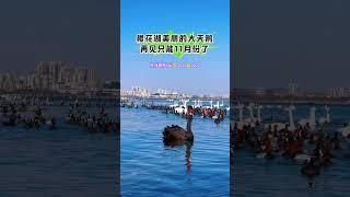 华人回国养老定居买房，联系置业顾问小陈，为您全程安排 #養老生活 #realestate #熱門 #大熱門 #正能量