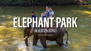   Up Close with Elephants: A Day at Maetaeng Elephant Park, Chiang Mai | Thailand