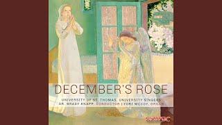 December's Rose