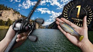 Fishing the #1 Bass Lake in the World