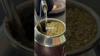 Does Yerba Mate Cause Cancer?