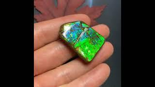 Canadian Ammolite Fossil #ammolite  #fossil #gemstone #ammonite #specimen #jewelrymaking