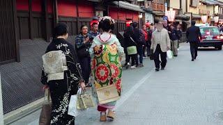 京都祇園、花見小路を歩く舞妓さん。美しい着物と帯。外国人が増えた祇園、もうすぐ祇園祭！(祇園伝統行事より)