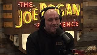 Joe Rogan Experience #1919 - Bret Weinstein