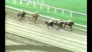 **Triple Dead Heat** - 1990 Arlington Park Allowance Race