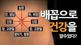 병을 다스리려면 이곳을 살펴라. 1cm의 신비, 배꼽 건강 이야기! MBN 121018 방송