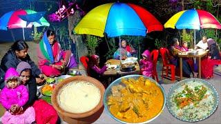 New Year Special Family Night Picnic। Village Style Cooking Fried Rice, Badsahi Chicken,Dahi, Papad