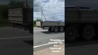 участок 136. 8гектар. Трасса м8 с.Сямжа